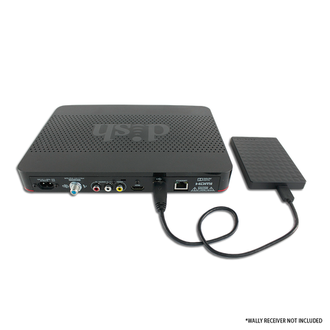 Black DISH Wally Receiver Back Panel with DVR Connected | United RV Parts