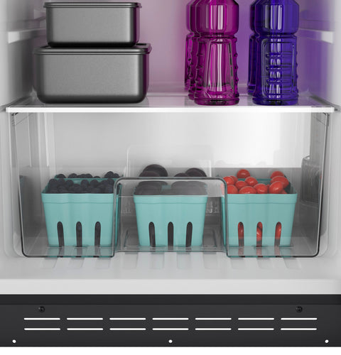 GE Profile | RV Refrigerator | PPV10R5YRBB | 9.8 Cubic Foot | 12 Volt DC | Black